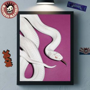 Deftones Private Music Album Cover Purple Version Home Decor Poster Canvas