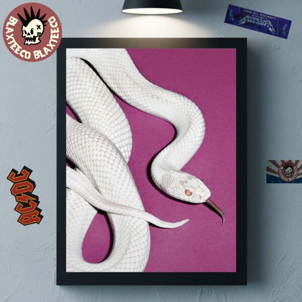 Deftones Private Music Album Cover Purple Version Home Decor Poster Canvas