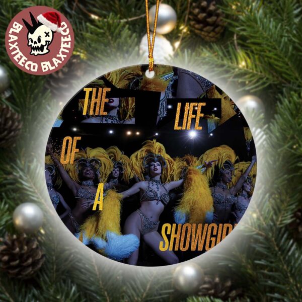 Taylor Swift The Life Of A Showgirl That Is Show Business Vinyl Collection Cover Gift For Swifties Christmas Decor Ceramic Ornament
