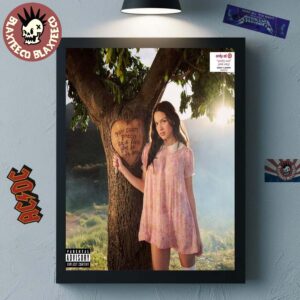 Olivia Rodrigo You Seem Pretty Sad For A Girl So In Love Album Cover Target Exclusive Home Decor Poster Canvas